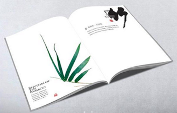 宣傳畫冊印刷代表公司形象