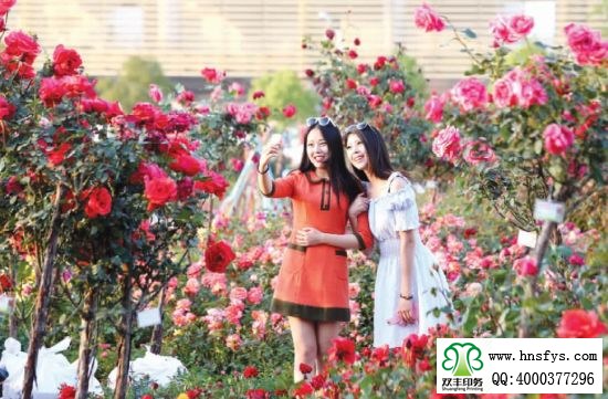 2015 南陽月季展玉雕節(jié)已開幕，花已開好 君可來矣