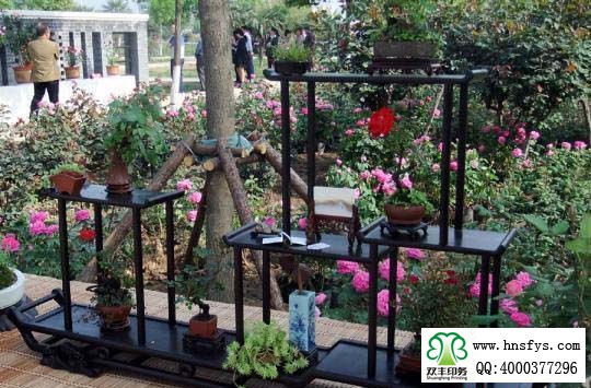 2015 南陽月季展玉雕節(jié)已開幕，花已開好 君可來矣